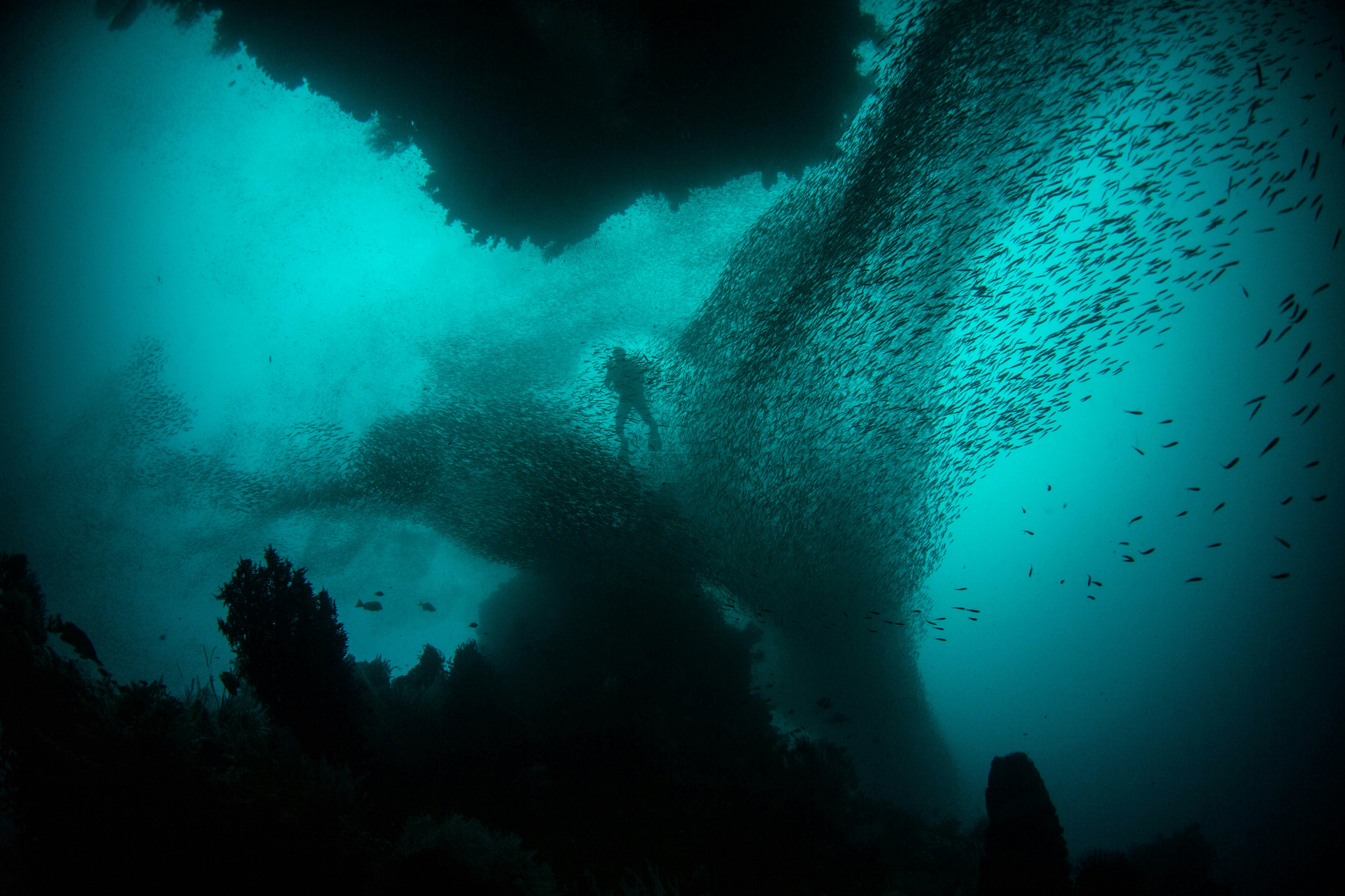 Man fully immersed in water diving